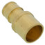1/2" ProPEX x 1/2" Female Sweat Copper Pipe Adapter (Brass)