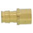 1/2" ProPEX x 1/2" Female Sweat Copper Pipe Adapter (Brass)