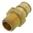 3/4" ProPEX x 1/2" NPT Brass Male Adapter