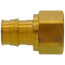 3/4" ProPEX x 3/4" NPT Brass Female Adapter