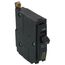QO Single Pole Bolt On Miniature Circuit Breaker (120/240V, 30A, 10kA)