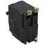 QO 2 Pole Bolt On Miniature Circuit Breaker (120/240V, 20A, 10kA)