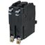 QO 2 Pole Bolt On Miniature Circuit Breaker (120/240V, 60A, 10kA)