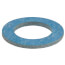 3/4" Union AutoFill Washer