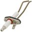 Ignitor w/Gasket, R2069300