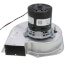 Inducer Motor Assembly, R46930-001