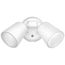20 Watt Luminator Floodlight, 3K/4K/5K CCT Selectable, L2XW