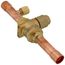 1/2" Ball Valve w/ Access Valve