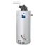75 Gallon - 76,000 BTU TTW2 Power Vent Energy Saver Residential Water Heater (Nat Gas)
