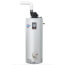 75 Gallon - 75,500 BTU TTW2 Power Vent Energy Saver Residential Water Heater (LP Gas)