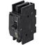 Circuit Breaker Kit - 60A (2-Pole), 425097K