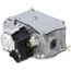 Natural Gas Valve, 60-103901-01K
