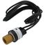 Fan Cycling Pressure Switch w/Auto Reset, 195-275 PSI
