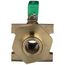 1" Inlet Ball Valve