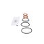 3/4" - 1" Rubber Repair Kit for 950XL3, Checks & O-Ring