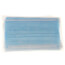 Disposable Masks (10 Pack)