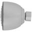 Touch-clean Shower Head, RP28599 (Chrome)