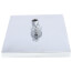 Universal Single-Setting Raincan Shower Head (Chrome), RP50841