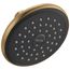 1-Setting Raincan Round Shower Head, RP51305CZ (Champagne Bronze)