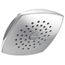 1-Setting Raincan Shower Head (Chrome), RP64859