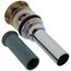 2-3/4" Luxe Gold Drain Assembly for Sink - Push Button Pop-Up w/ Overflow, RP72414GL
