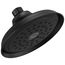 Silverton Shower Head 1.75 Gpm 1-Setting (Matte Black), RP72856BL