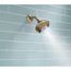 5-Setting Raincan Shower Head (Champagne Bronze), RP78575CZ