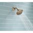5-Setting Raincan Shower Head (Champagne Bronze), RP78575CZ
