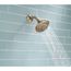 5-Setting Raincan Shower Head (Champagne Bronze), RP78575CZ