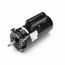 CT1102 Pool and Spa Motor