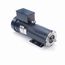 Dc Permanent Magnet Motor 3 hp 180 Volts, DC144