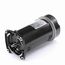 Centurion Pro Pool And Spa Motor 1-1/4 hp , Square Flange, 3450 Rp Motor, HSQ125