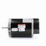 SN1102 Pool and Spa Motor, USN1102
