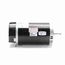 SN1302 Pool and Spa Motor, USN1302