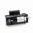 ST1202 Pool and Spa Motor, UST1202