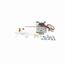 120/240v 1" Stack C-Frame Skeleton Motor