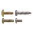 Replacement Screw Assortment Kit - Paloma