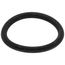 O-Ring (p20), RTG20299AG