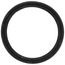 O-Ring (p20), RTG20299AG