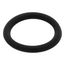 O-Ring (p16), RTG20299AN