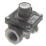 Natural Gas Regulator w/ Fixed Setting