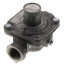 Natural Gas Regulator w/ 6" Fixed Set