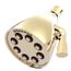 Icon 8-Jet  Shower Head, 2.5 gpm (Polished Brass)