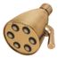 Icon 6-Jet Shower Head, 2.5 gpm (Brushed Bronze)