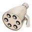 Icon 6-Jet Shower Head, 1.75 gpm (Brushed Nickel)