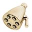 Icon Anystream 6-jet Shower Head (Polished Bronze)