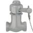 Self-Closing Shower Valve w/ 7" Pull Chain (Chrome)
