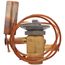 R-410a Thermal Expansion Valve, S1-02212994000