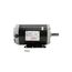 1 Speed 56 Motor (1.5 HP, 1725 RPM, 230V), S1-02435825000
