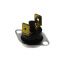 M/R Limit Switch (160°F), S1-025-27792-707